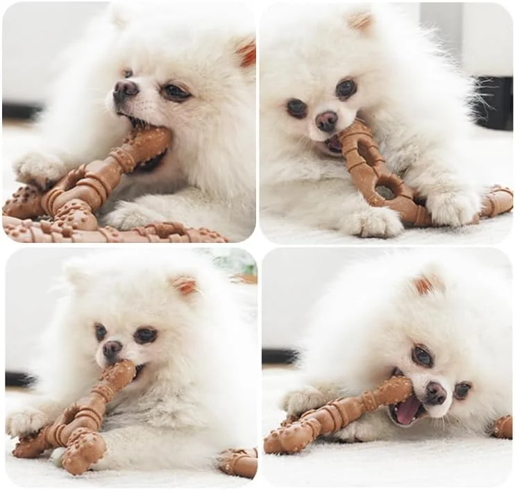 اسباب بازی های سوت دار سگ برای جویدن تهاجمی، اسباب بازی های جویدنی بادوام سگ برای سگ های نژاد کوچک متوسط، اسباب بازی های سگ، اسباب بازی های سگ بادوام و سخت با لاستیک طبیعی، اسباب بازی های جویدنی توله سگ برای دندان درآوردن (متوسط، بومرنگ)