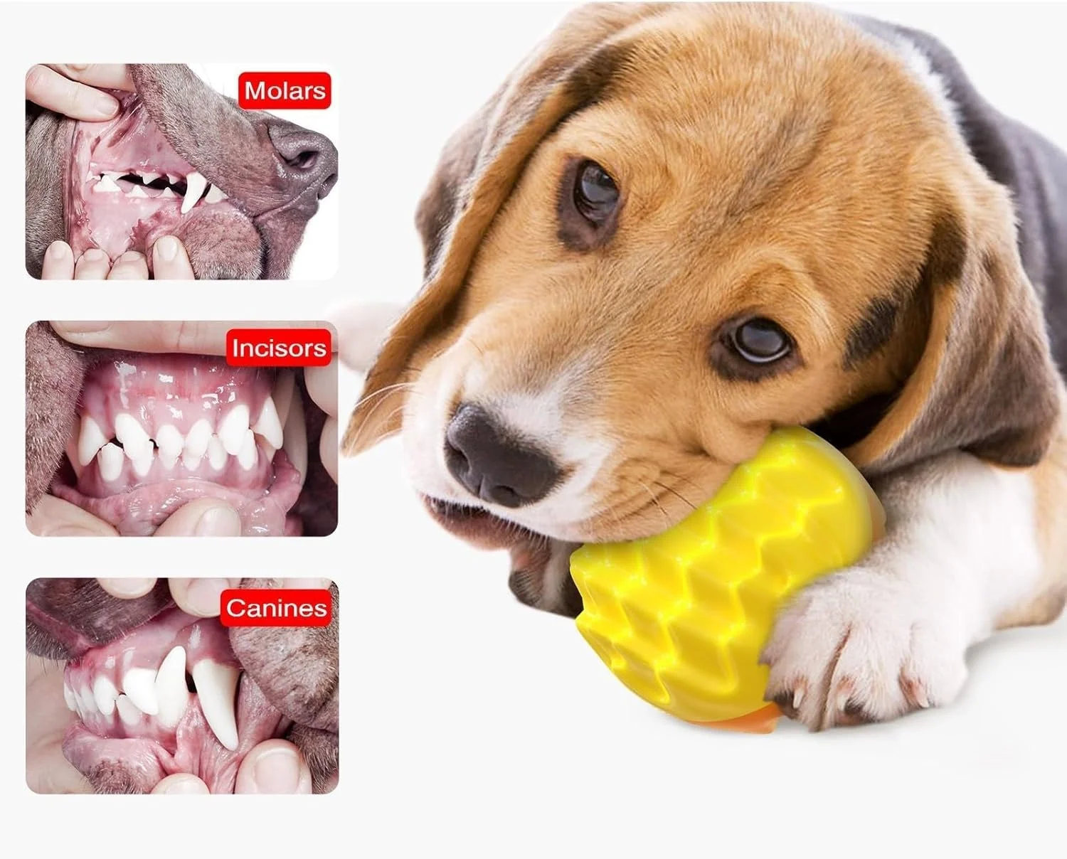 توپ سوت دار سگ برای جویدن تهاجمی، اسباب بازی دندانی سگ برای دندان ها و لثه های سالم، توپ خاردار لاستیکی شناور بادوام، غنی سازی ذهنی