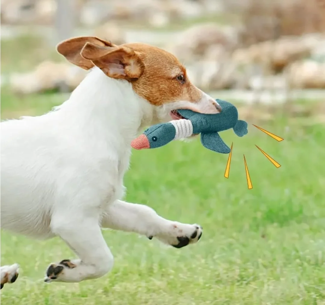 اسباب بازی سوت دار سگ، غاز آرامش بخش، اسباب بازی های نرم برای سگ ها و گربه های کوچک و متوسط، اسباب بازی های پولیشی توله سگ، اسباب بازی های جویدنی تعاملی سگ، اسباب بازی جویدنی بادوام