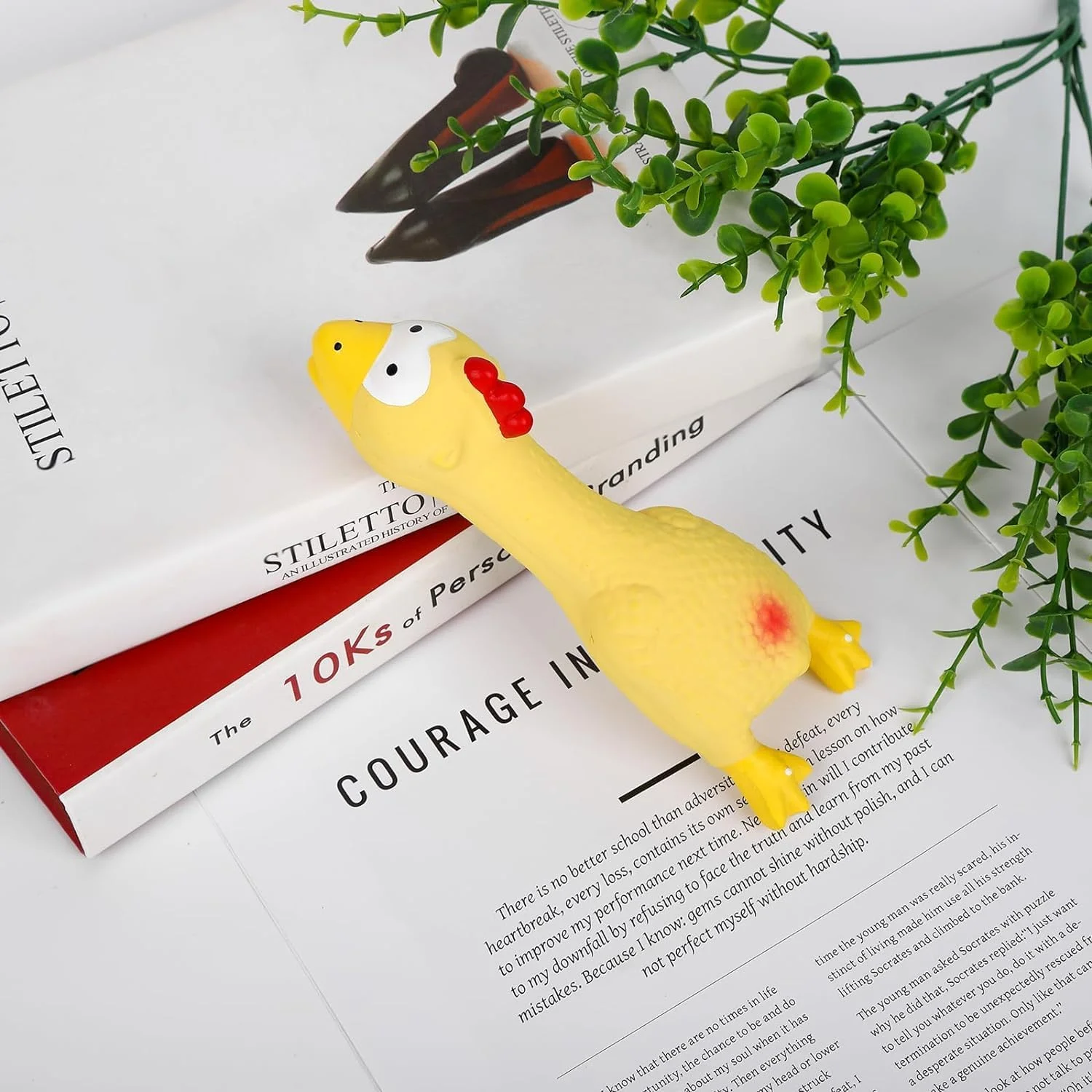 اسباب بازی مرغ لاستیکی جیر جیر کننده، اسباب بازی سگ جیر جیر کننده طرح خروس کارتونی لاتکس، برای سگ ها اسباب بازی مرغ تعاملی، اسباب بازی های جیغ گربه، اسباب بازی مرغ خنده دار توله سگ، برای رفع خستگی حیوانات خانگی اسباب بازی مرغ لاستیکی جیر جیر کننده، اسباب بازی سگ جیر جیر کننده طرح خروس کارتونی لاتکس، برای سگ ها اسباب بازی مرغ تعاملی، اسباب بازی های جیغ گربه، اسباب بازی مرغ خنده دار توله سگ، برای رفع خستگی حیوانات خانگی