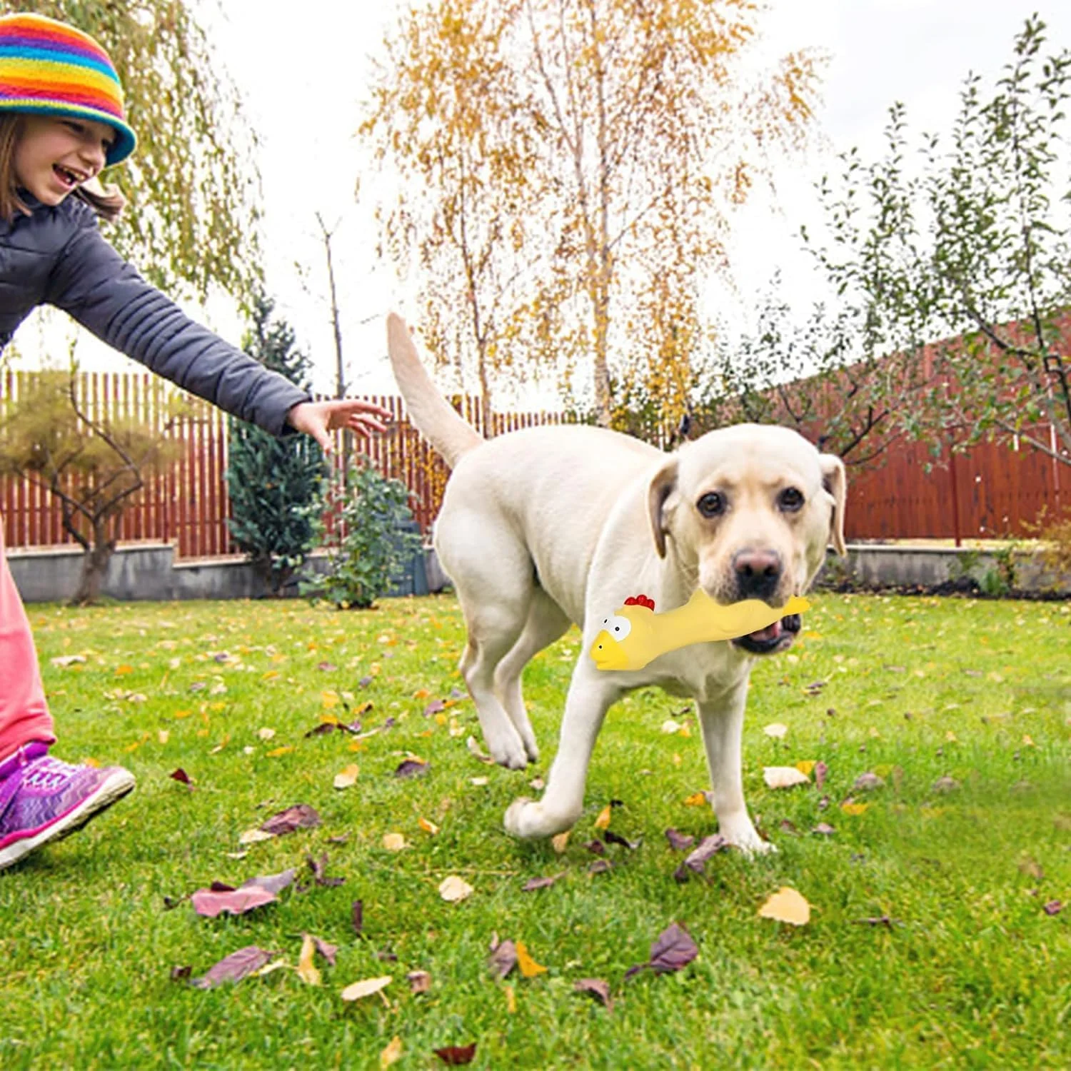 اسباب بازی مرغ لاستیکی جیر جیر کننده، اسباب بازی سگ جیر جیر کننده طرح خروس کارتونی لاتکس، برای سگ ها اسباب بازی مرغ تعاملی، اسباب بازی های جیغ گربه، اسباب بازی مرغ خنده دار توله سگ، برای رفع خستگی حیوانات خانگی اسباب بازی مرغ لاستیکی جیر جیر کننده، اسباب بازی سگ جیر جیر کننده طرح خروس کارتونی لاتکس، برای سگ ها اسباب بازی مرغ تعاملی، اسباب بازی های جیغ گربه، اسباب بازی مرغ خنده دار توله سگ، برای رفع خستگی حیوانات خانگی