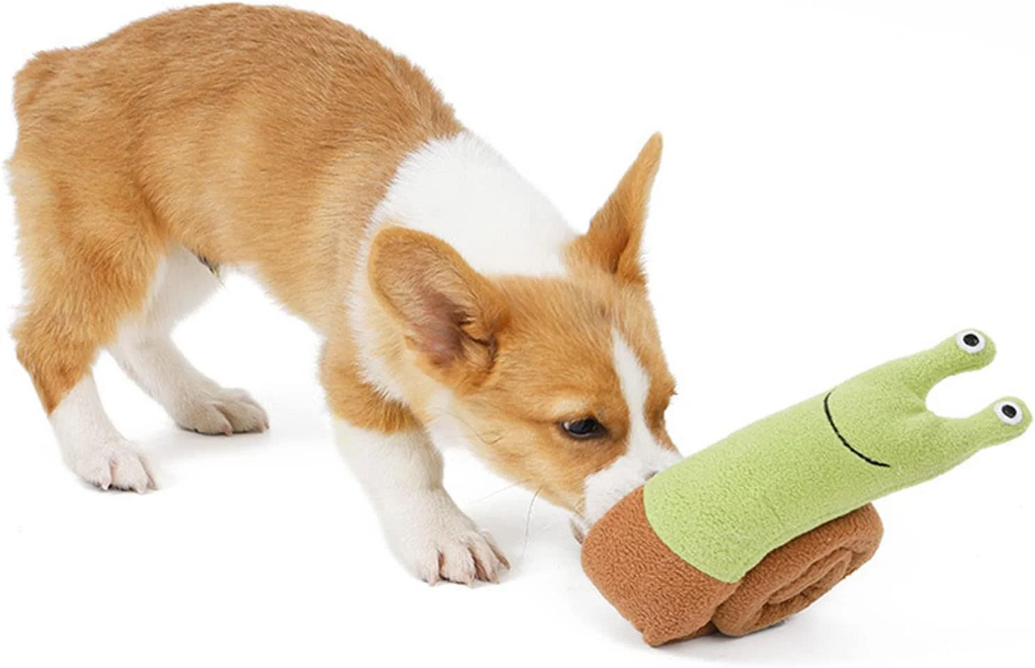 اسباب بازی مخملی جیر جیر کننده سگ سورندی، نرم، مقاوم در برابر جویدن، شکل حلزونی محکم، صدای عروسک نفیس، درزهای تقویت شده، فناوری محافظ جویدن برای سگ ها، توله سگ ها، کوچک