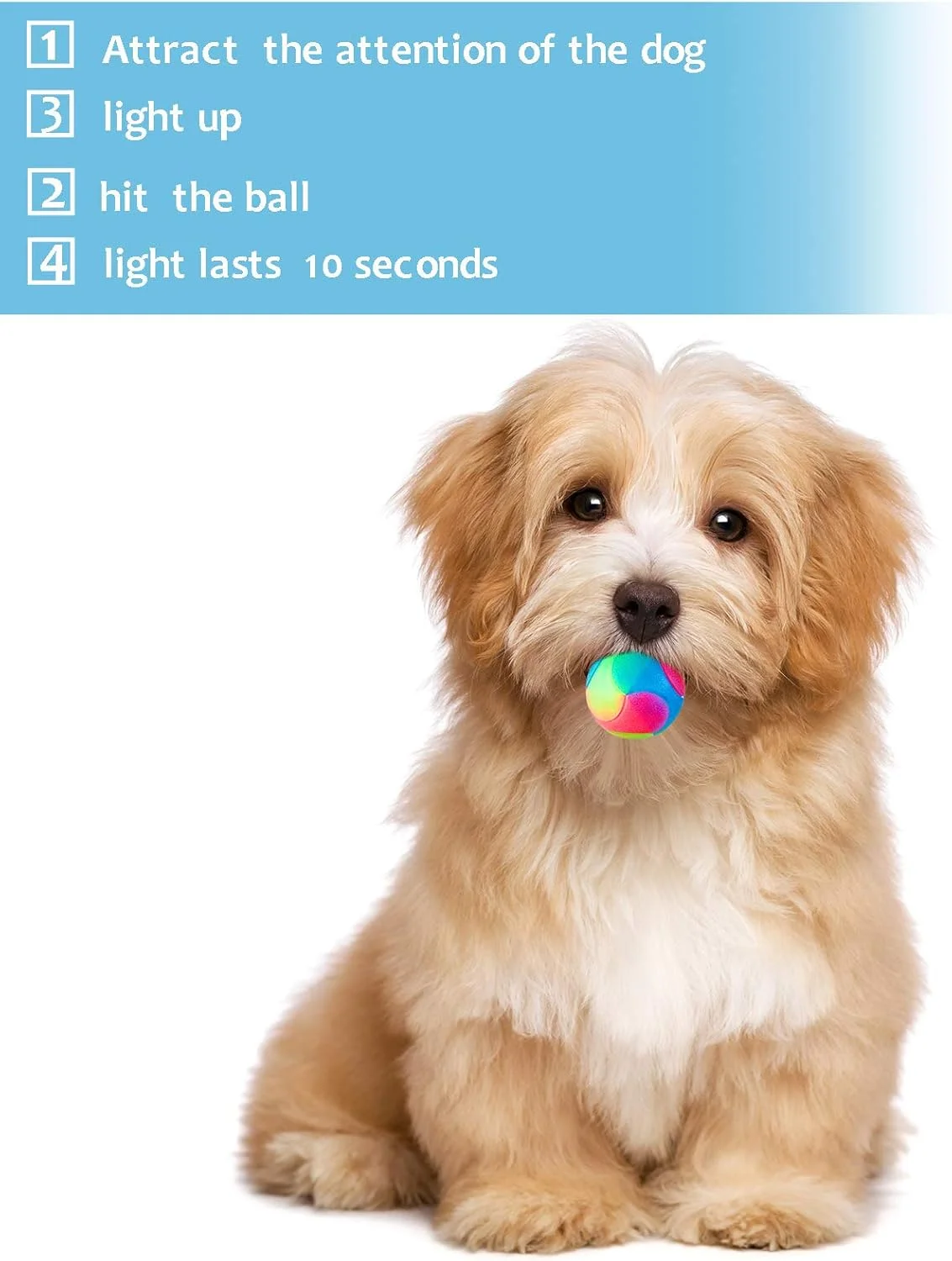 توپ های سگ LED روشن شونده Skylety، 4 عددی، توپ الاستیک چشمک زن، توپ دندانی LED، توپ درخشان، توپ رنگی حیوانات خانگی، اسباب بازی های تعاملی برای گربه ها و سگ ها (2.8 اینچ)