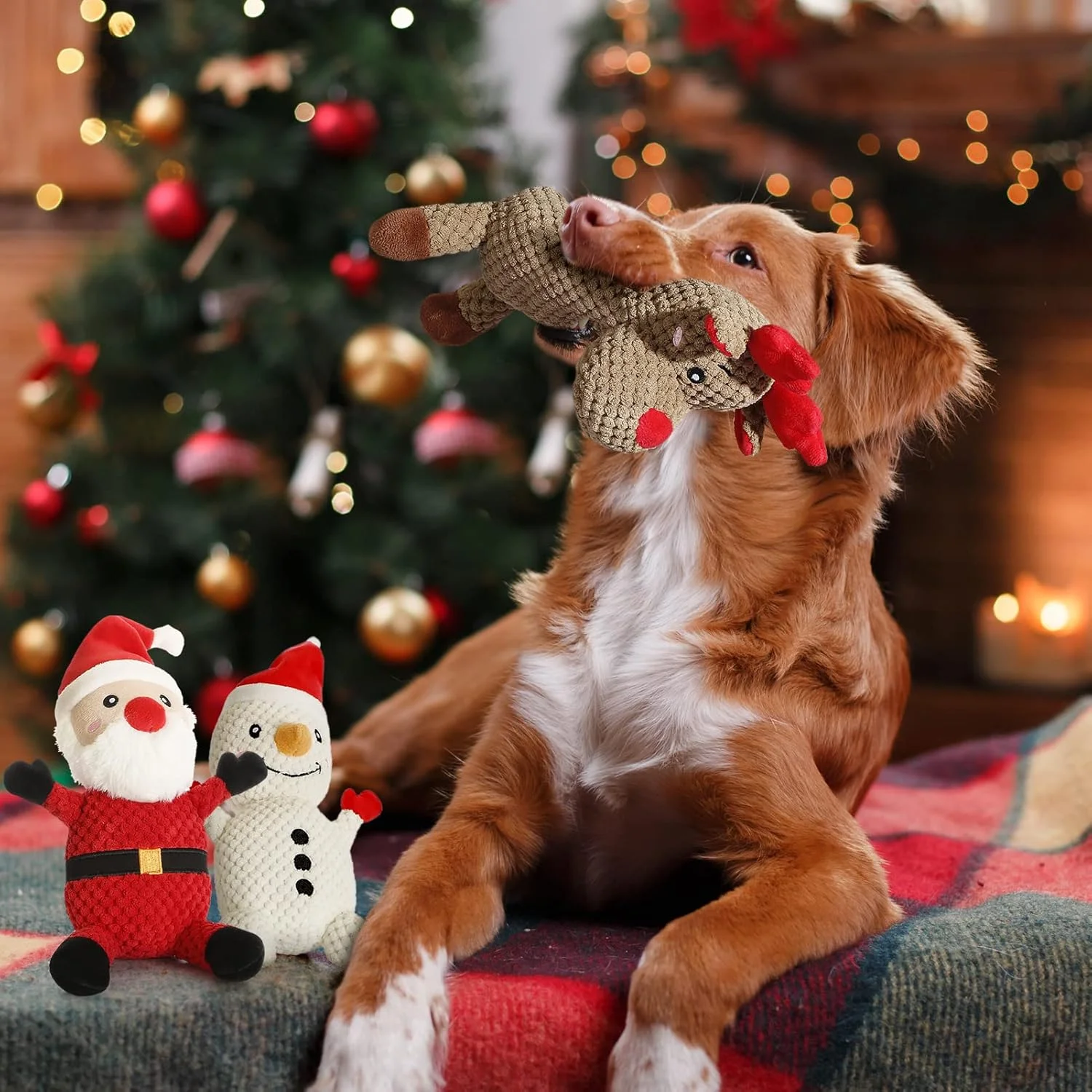 اسباب بازی سگ سننی، 3 عدد، طرح کریسمس (بابانوئل، گوزن شمالی و آدم برفی)، اسباب بازی های پولیشی صدادار برای سگ ها و توله سگ ها، اسباب بازی سگ مخملی برای سگ های بزرگ، متوسط و کوچک، اسباب بازی های جویدنی بادوام و تعاملی سگ