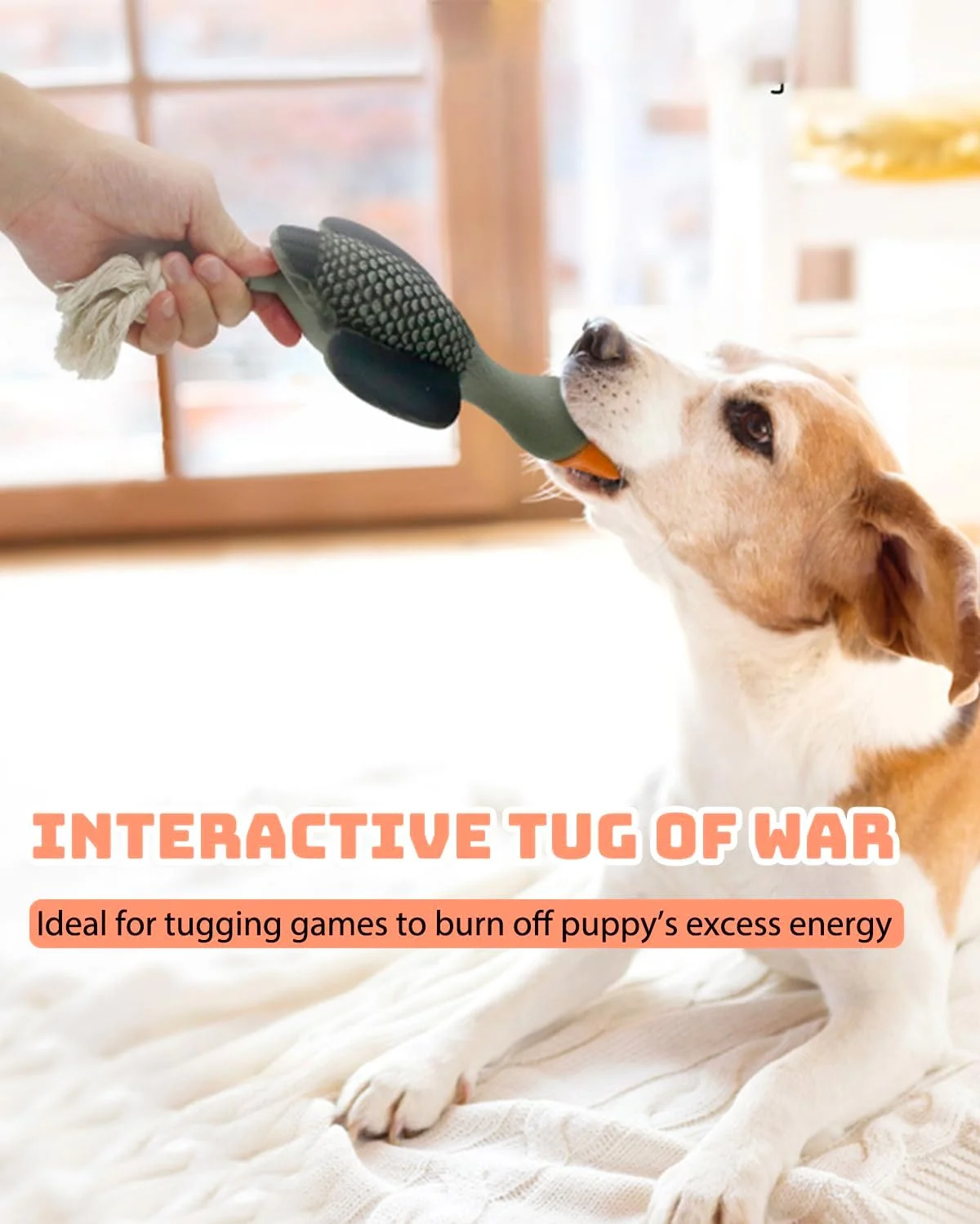 اسباب بازی طنابی سگ SCHITEC، اردک لاستیکی لاتکس صدادار، اسباب بازی جویدنی تعاملی برای سگ های کوچک و متوسط