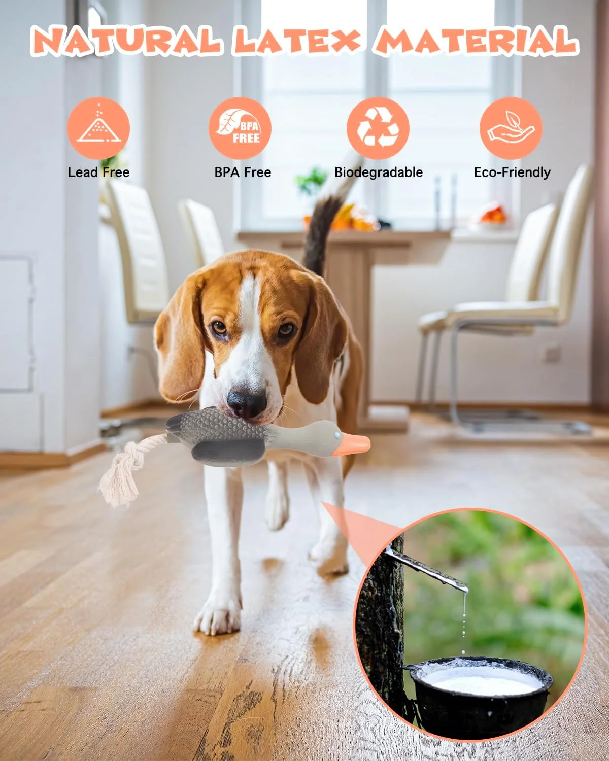 اسباب بازی طنابی سگ SCHITEC، اردک لاستیکی لاتکس صدادار، اسباب بازی جویدنی تعاملی برای سگ های کوچک و متوسط