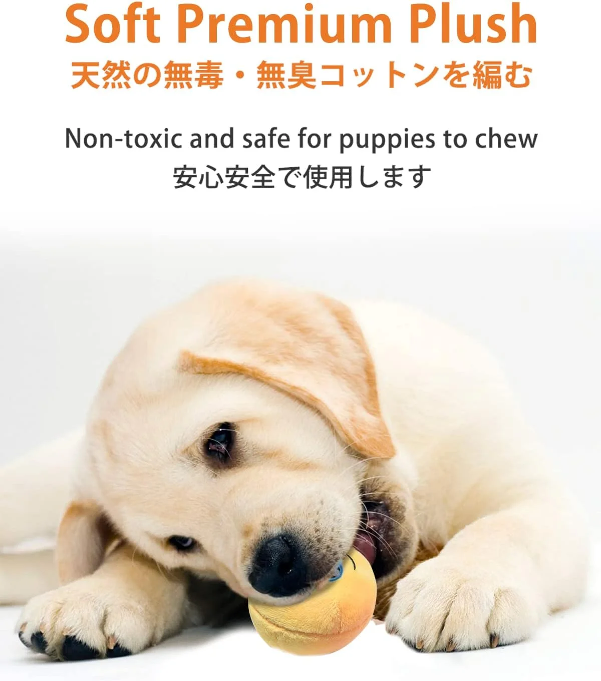 اسباب بازی سگ جیر جیر کننده SCHITEC، [بسته 6 عددی] توپ های پولیشی نرم با صدای جیر جیر، بازی تعاملی پرتاب برای توله سگ و حیوانات خانگی کوچک