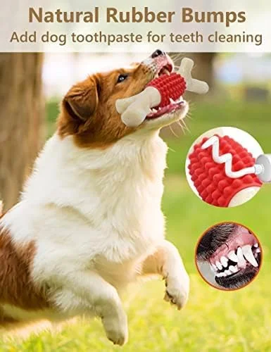 اسباب بازی جویدنی سگ SCHITEC برای جویدن تهاجمی، چوب دندان گیر نایلونی و لاستیکی بزرگ و سخت با طعم واقعی بیکن و چوب افرا برای نژادهای بزرگ و متوسط اسباب بازی جویدنی سگ SCHITEC برای جویدن تهاجمی، چوب دندان گیر نایلونی و لاستیکی بزرگ و سخت با طعم واقعی بیکن و چوب افرا برای نژادهای بزرگ و متوسط