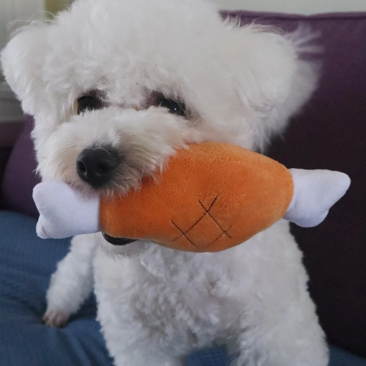 اسباب بازی پولیشی طرح ران مرغ رورسیلا، بسته 2 عددی، اسباب بازی فشاری حیوانات خانگی، استخوان پای مرغ، اسباب بازی جویدنی برای سگ، گربه و حیوانات خانگی