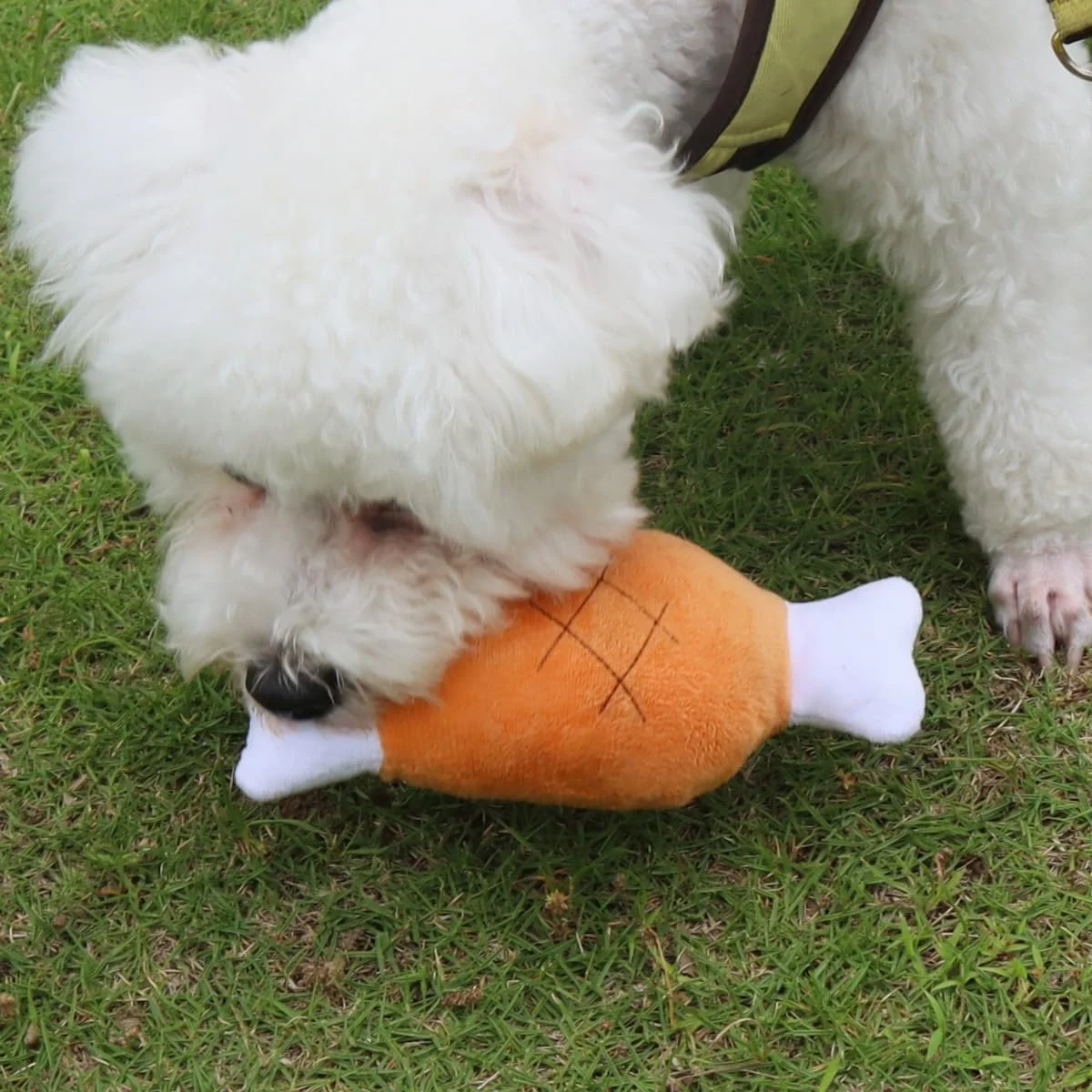 اسباب بازی پولیشی طرح ران مرغ رورسیلا، بسته 2 عددی، اسباب بازی فشاری حیوانات خانگی، استخوان پای مرغ، اسباب بازی جویدنی برای سگ، گربه و حیوانات خانگی