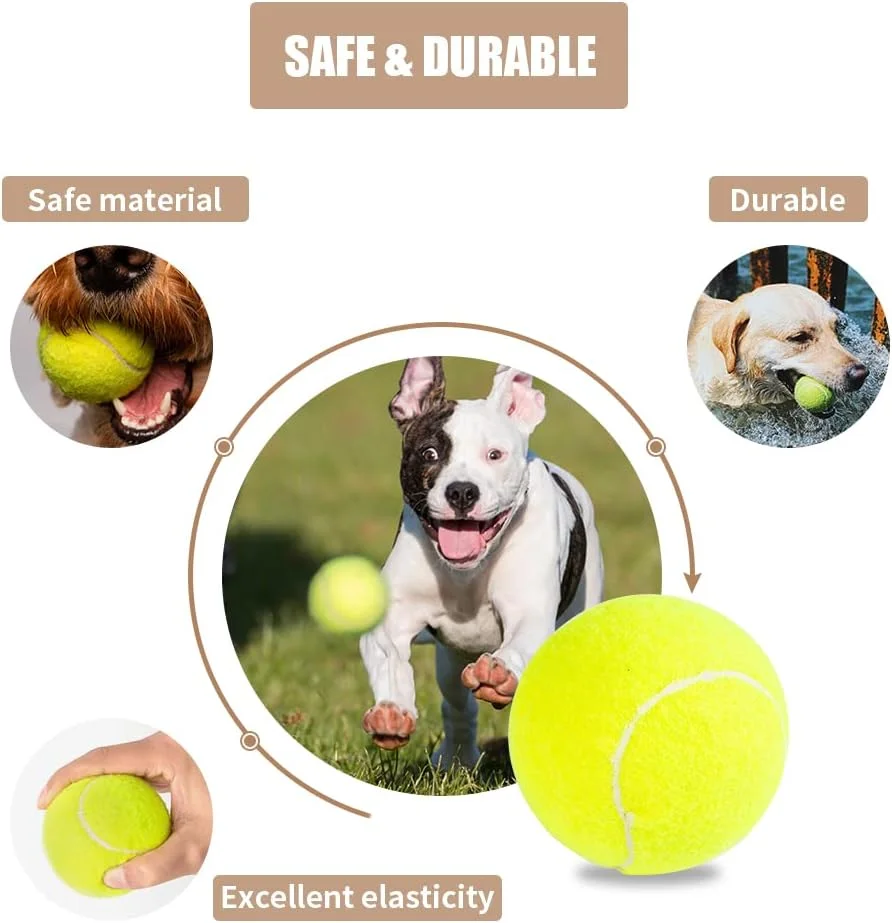 توپ تنیس سگ پتلیسی، بسته 16 عددی، توپ تنیس آسان برای گرفتن، اسباب بازی های توپ تعاملی سگ برای سگ های متوسط ​​و سگ های کوچک، توپ تنیس سایز استاندارد برای بازی پرتاب و گرفتن (2.5 اینچ)