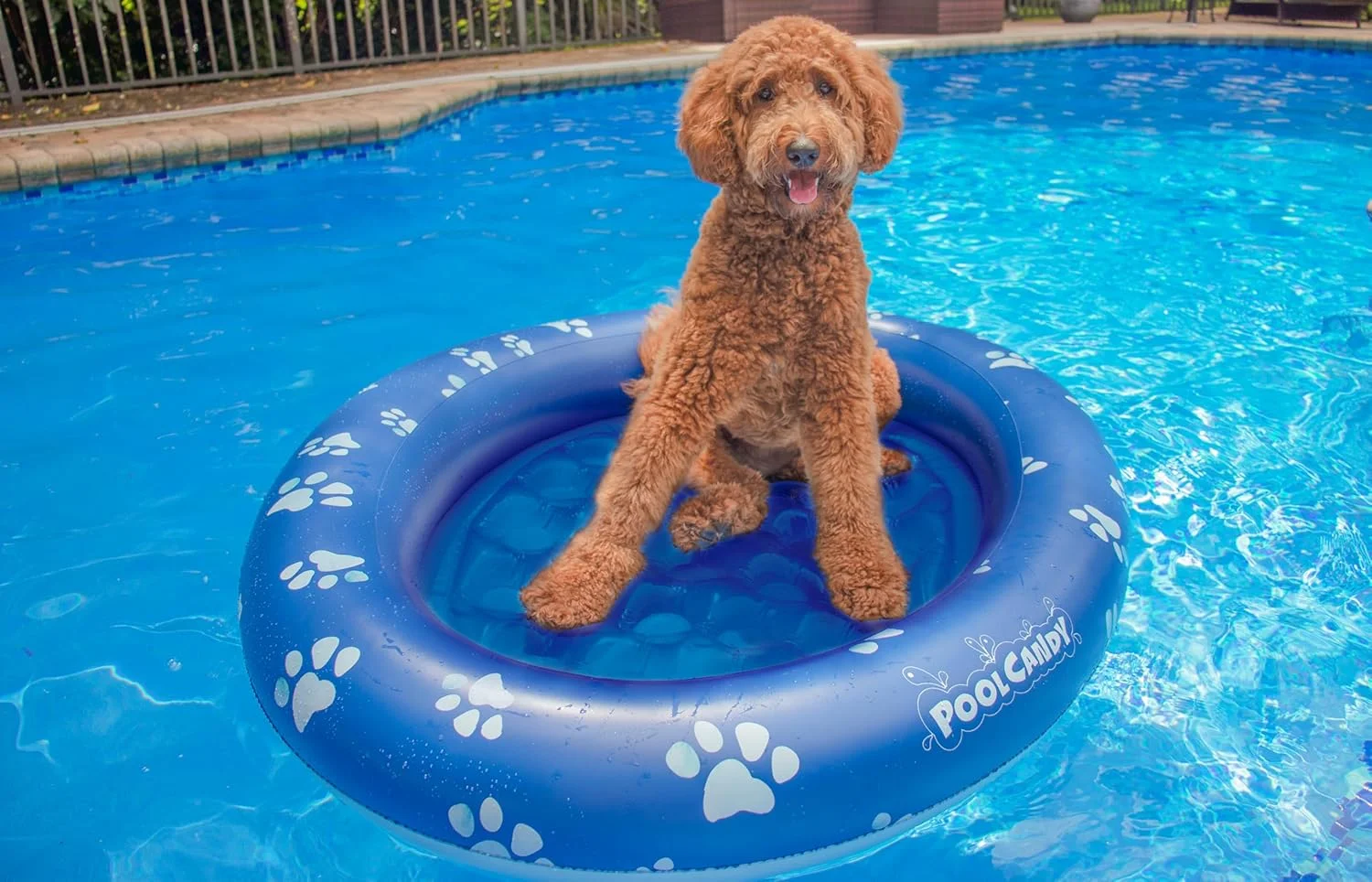 تخت بادی شناور حیوانات خانگی PoolCandy - تخت های بادی استخر سگی با نصب آسان (PAW بزرگ تا 45 کیلوگرم)