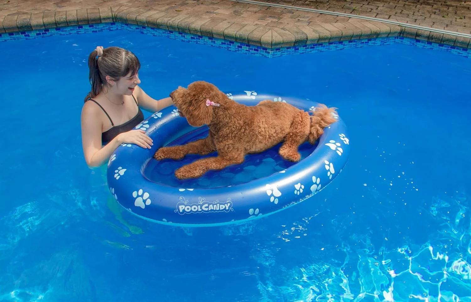 تخت بادی شناور حیوانات خانگی PoolCandy - تخت های بادی استخر سگی با نصب آسان (PAW بزرگ تا 45 کیلوگرم)