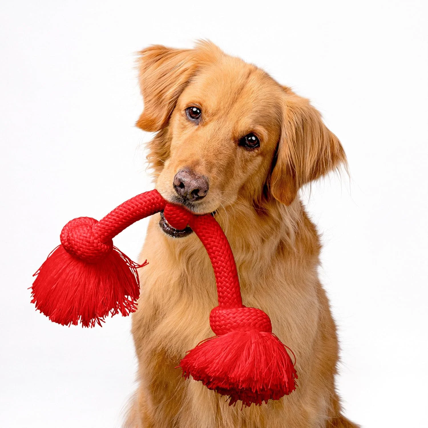 اسباب بازی طناب جویدنی سگ Playology Dri Tech مناسب برای نژادهای بزرگ سگ (بالای 35 پوند) - اسباب بازی های سگ با رایحه گوشت گاو طبیعی و جذاب برای جویدن های سخت - تمیز کردن آسان - تعاملی و غیر سمی