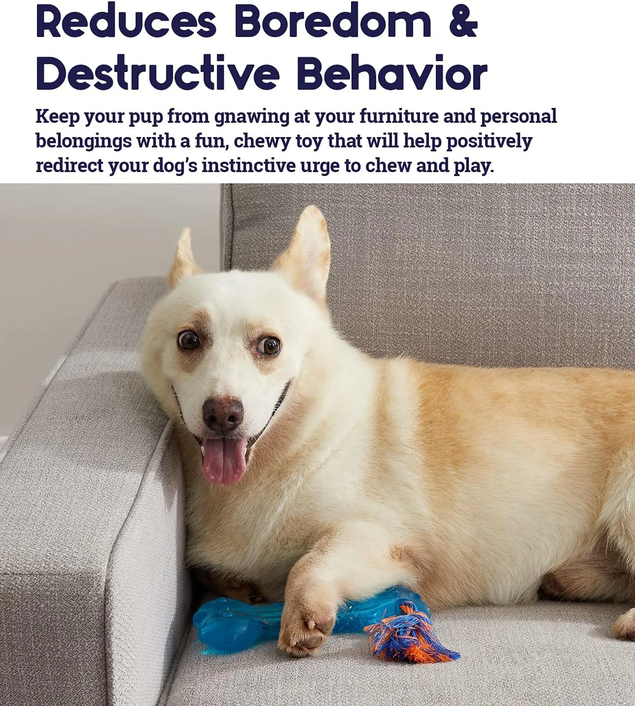 اسباب بازی جویدنی سگ مدل استخوان اورکا پت استیجز آبی رویال