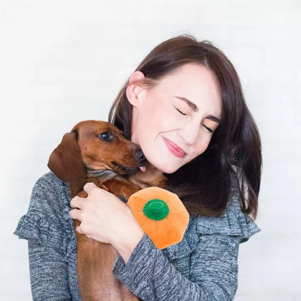 اسباب بازی سگ مخملی جیر جیر کننده طرح کدو تنبل پتساری - اسباب بازی جویدنی تعاملی بامزه طرح کدو تنبل - اسباب بازی سگ پر شده با طرح میوه و سبزیجات - آموزش صدای گاز گرفتن نرم - مناسب برای دندان های سگ های کوچک، متوسط ​​و بزرگ (10x6 سانتی متر)