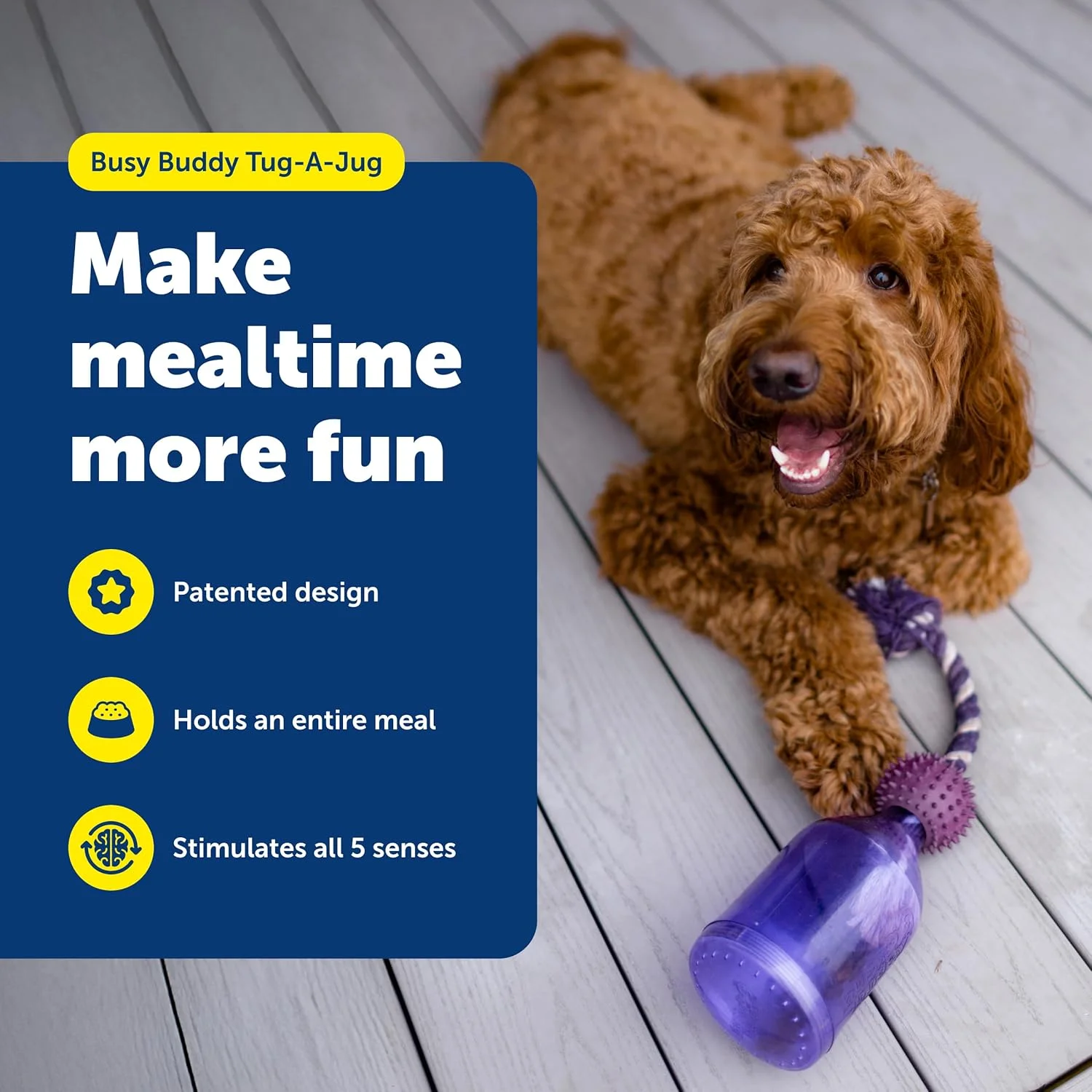 اسباب بازی سگ PetSafe Busy Buddy Tug-A-Jug - پاداش و چالش برای سگ ها - اسباب بازی پازلی غذا - روکش لاستیکی بادوام - طناب بافته شده - جذاب و تعاملی