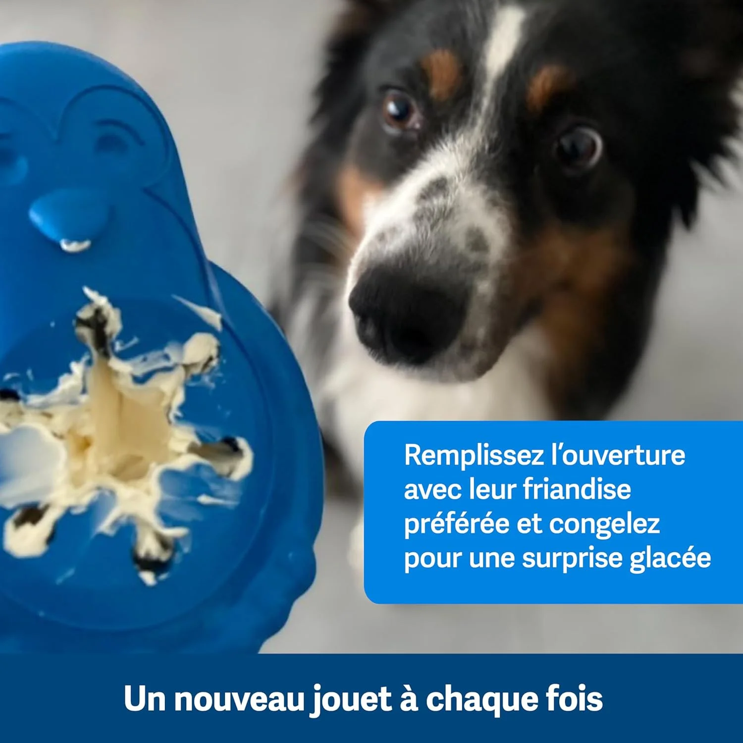 اسباب بازی جویدنی سگ پنگوئن خنک کننده و پخش کننده غذا PetSafe، سایز متوسط/بزرگ