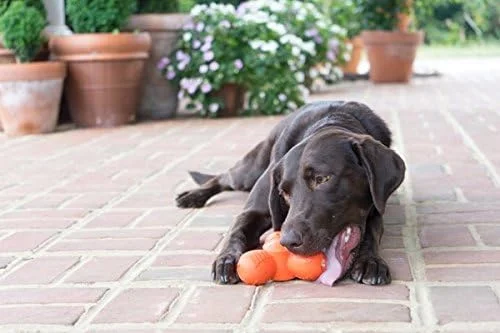 اسباب بازی سگ بزرگ PetSafe Sportsmen Squeak N Treat Troog با قابلیت پر کردن مجدد و پخش خوراکی اسباب بازی سگ بزرگ PetSafe Sportsmen Squeak N Treat Troog با قابلیت پر کردن مجدد و پخش خوراکی