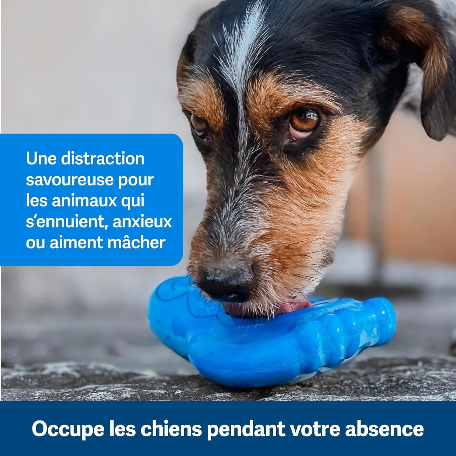 اسباب بازی جویدنی سگ پنگوئن خنک کننده و پخش کننده غذا PetSafe، سایز متوسط/بزرگ