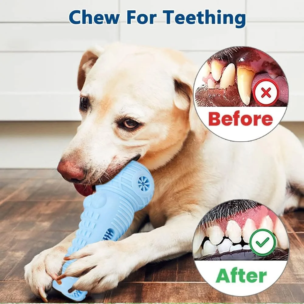 اسباب بازی جویدنی سگ پت پس، مناسب سگ های متوسط، اسباب بازی های تعاملی بادوام و نشکن با صدای جیر جیر، اسباب بازی مسواک جویدنی و تعقیبی برای سگ های کوچک (آبی)