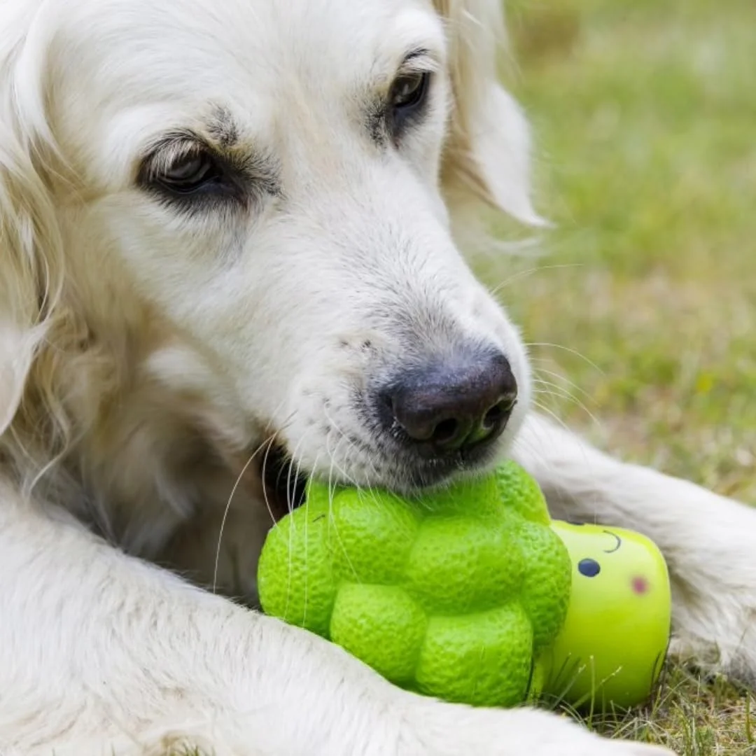 اسباب بازی سگ جویدنی نرم کلم بروکلی لاتکس پت فیس، کوچک