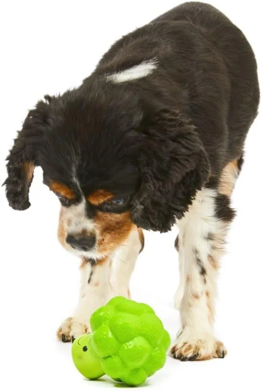 اسباب بازی سگ جویدنی نرم کلم بروکلی لاتکس پت فیس، کوچک