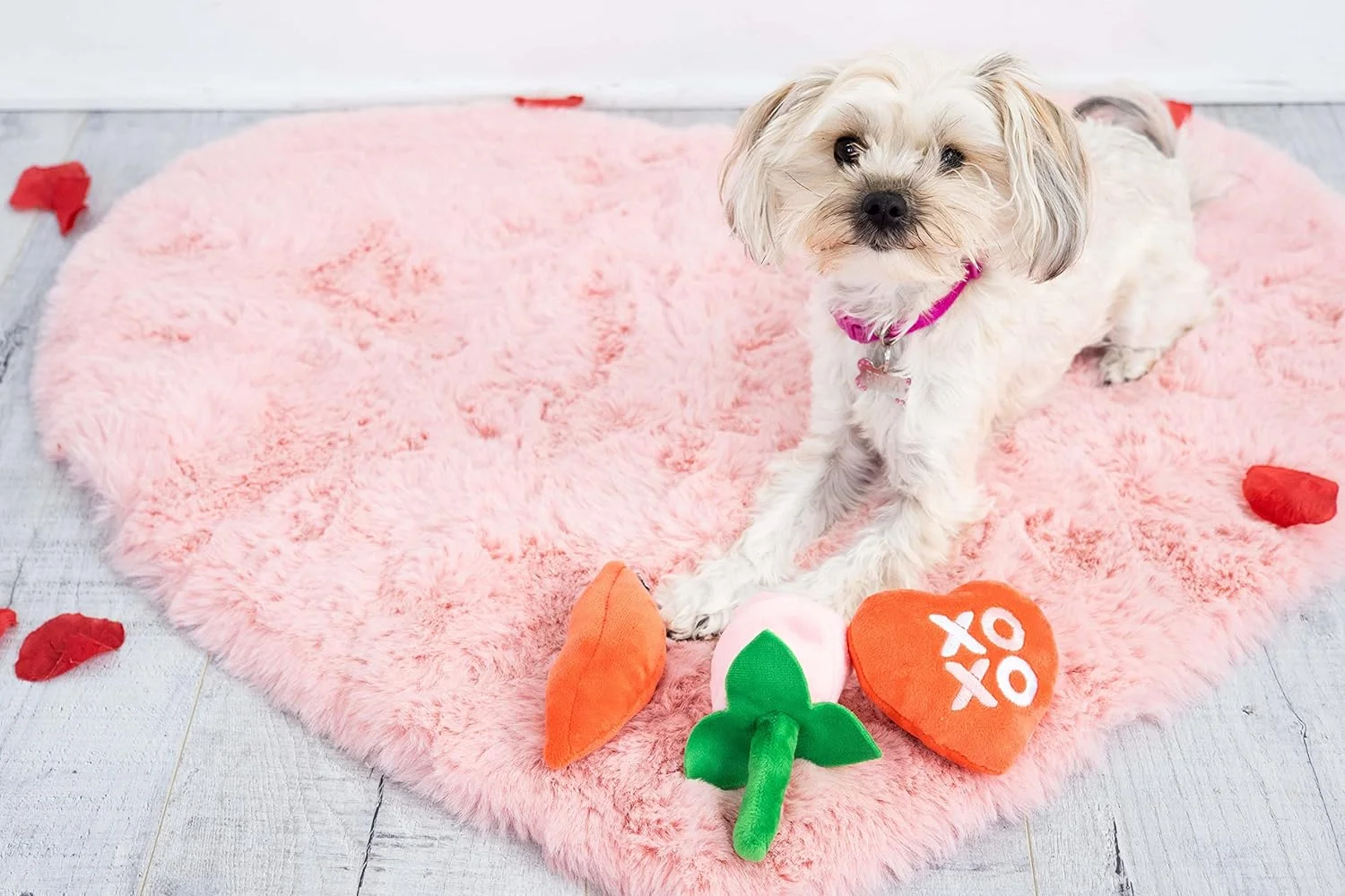 اسباب بازی های سگ ولنتاین Pearhead، اسباب بازی های حیوانات خانگی روز ولنتاین، اسباب بازی های قلب، گل و بوسه، اسباب بازی های مخمل خواب دار حیوانات خانگی با صدای جیر جیر، هدایای صاحب حیوان خانگی، مجموعه 3 عددی اسباب بازی های سگ ولنتاین Pearhead، اسباب بازی های حیوانات خانگی روز ولنتاین، اسباب بازی های قلب، گل و بوسه، اسباب بازی های مخمل خواب دار حیوانات خانگی با صدای جیر جیر، هدایای صاحب حیوان خانگی، مجموعه 3 عددی