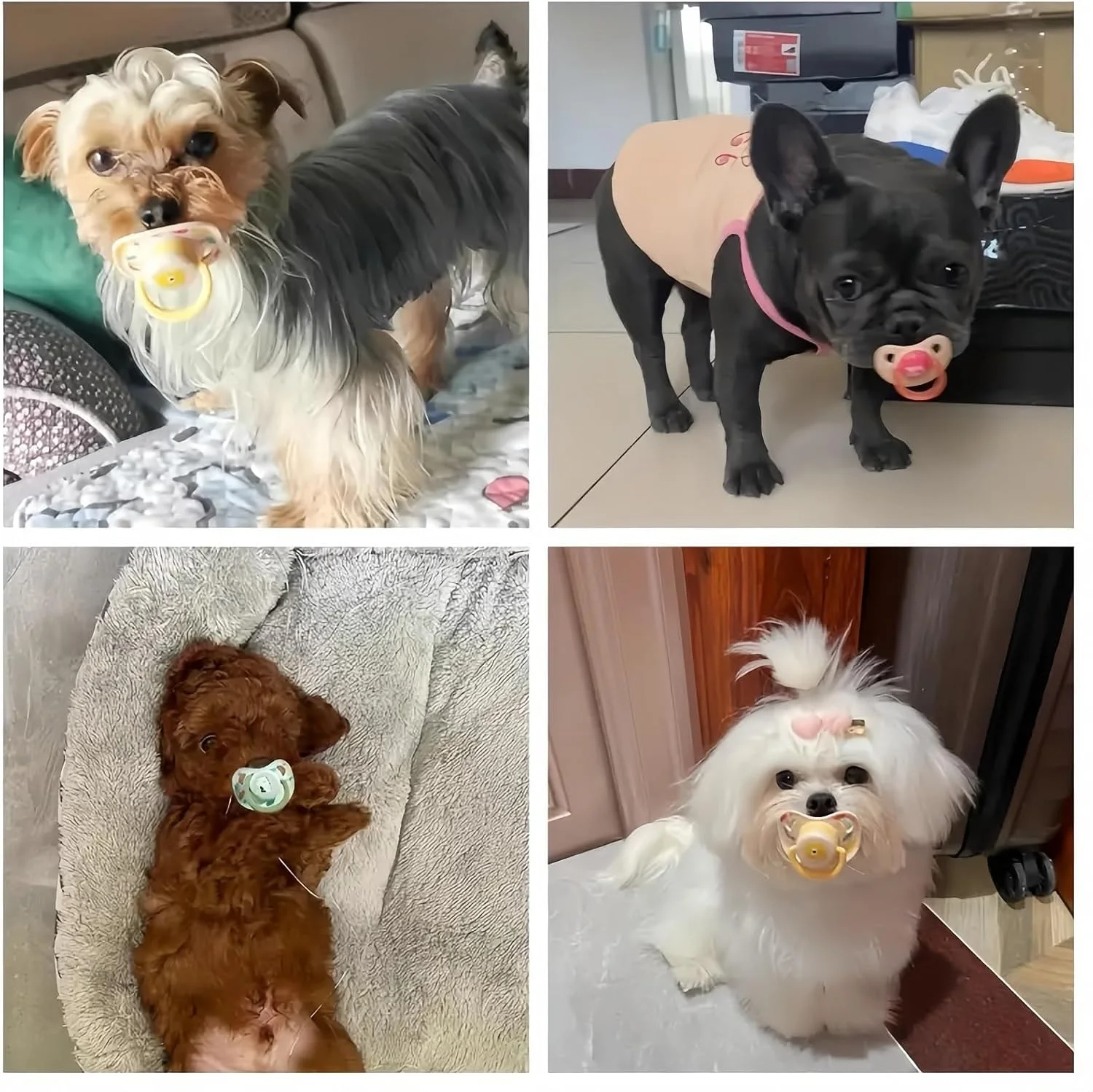 پستانک جویدنی سگ (بسته 3 عددی)، آرام کننده سیلیکونی توله سگ Azonee برای سگ های کوچک، پستانک جویدنی حیوانات خانگی برای تسکین دندان درآوردن و اضطراب