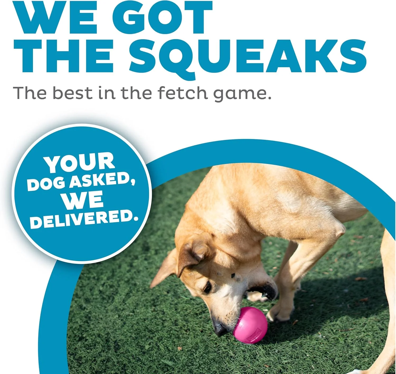 توپ بازی سوت دار Outward Hound by Planet Dog، صورتی