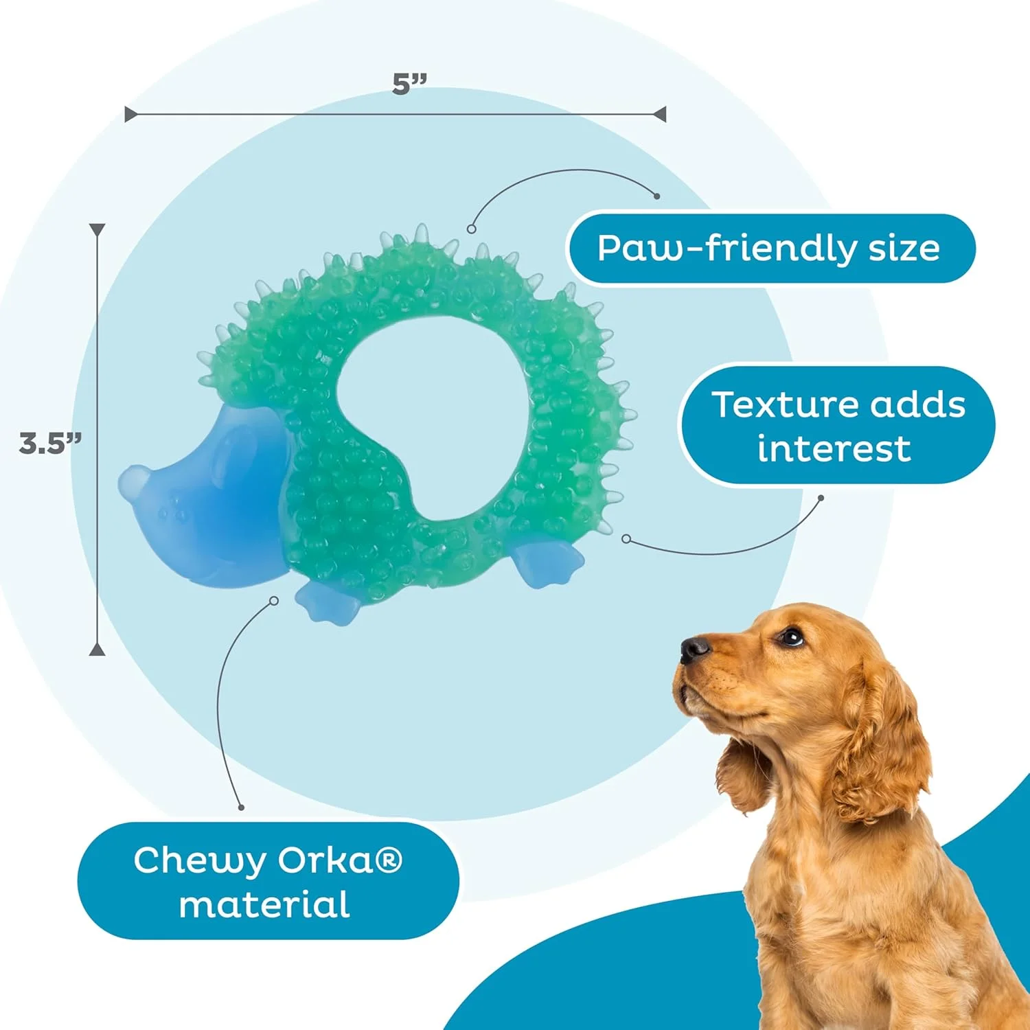 اسباب بازی جویدنی سگ خارپشت Cutie Chewies Petstages Outward Hound