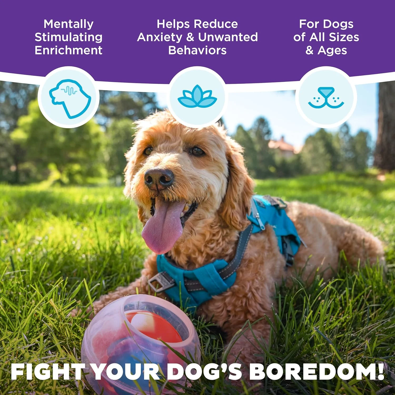 اسباب بازی پازلی سگ توپ جایزه دار Topsy Outward Hound اثر Nina Ottosson، سطح 1 مبتدی، نارنجی