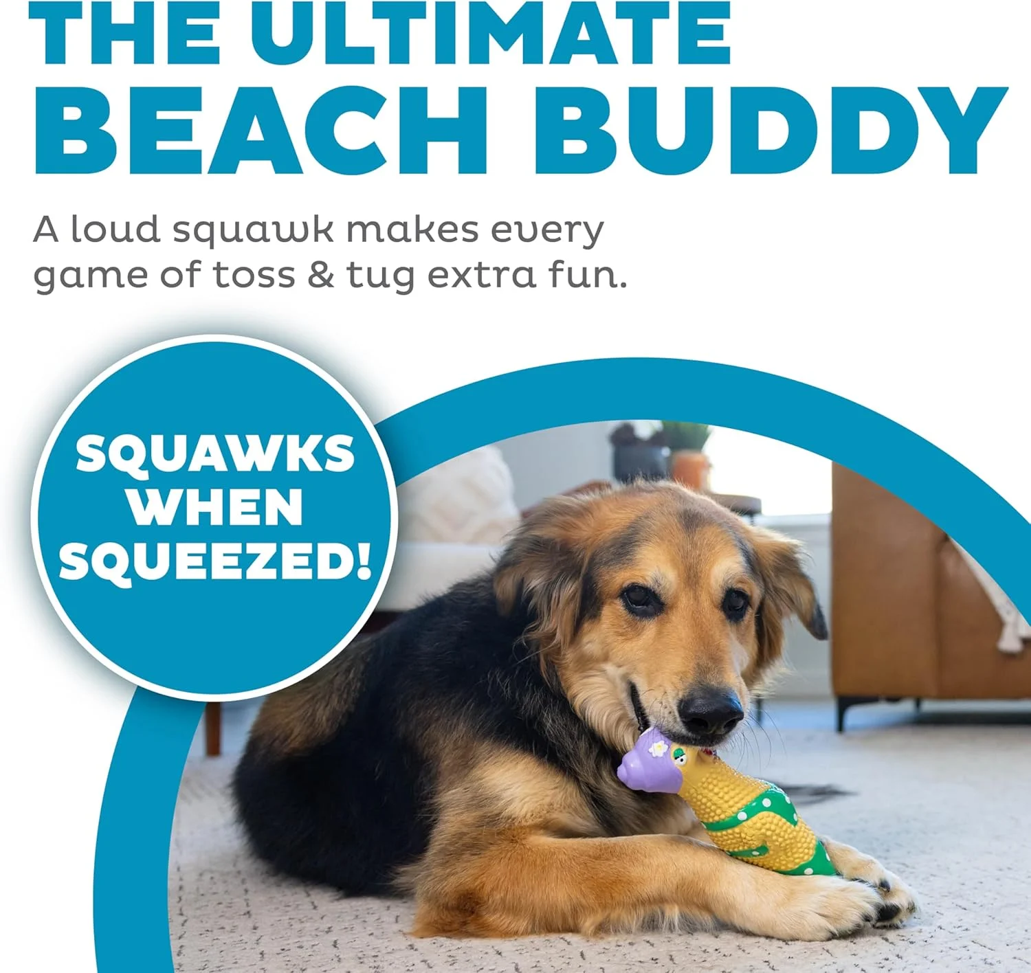 اسباب بازی سگ لاستیکی مرغ هیپی مادربزرگ Charming Pet Squawkers Outward Hound، بزرگ