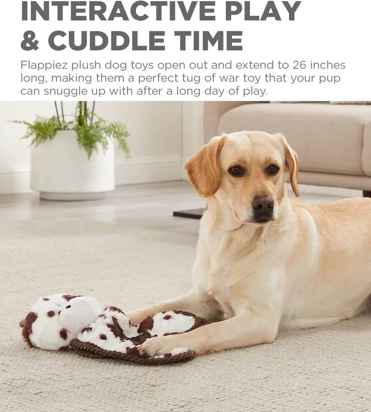 اسباب بازی سگ پولیشی گاوی Outward Hound by Charming Pet Cuddle Tugs