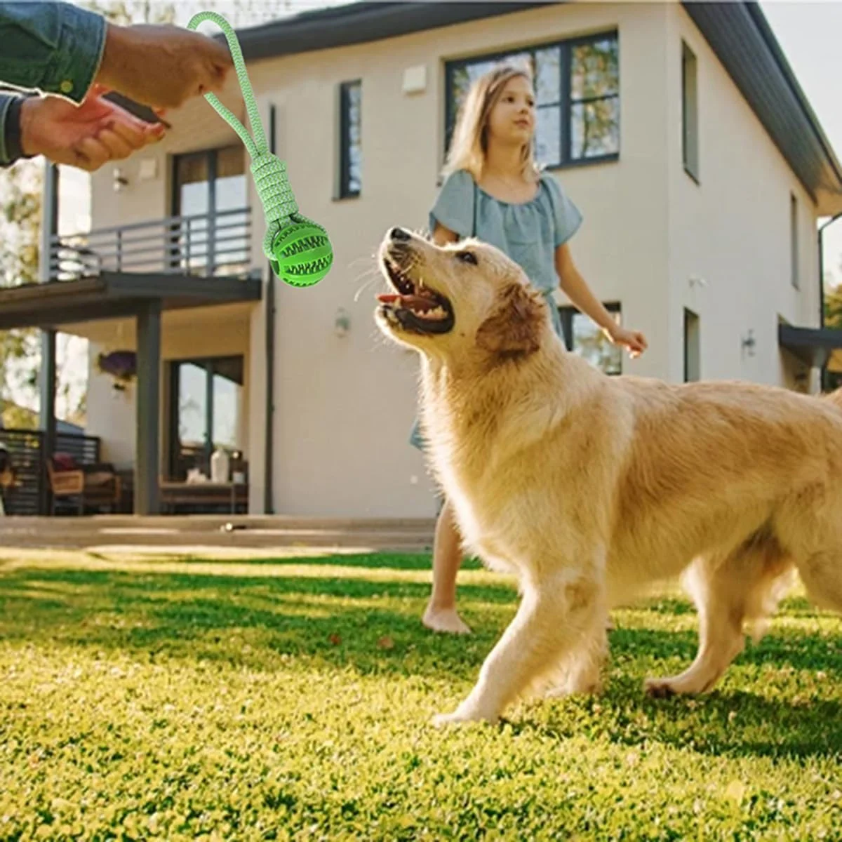 اسباب بازی طناب آویز بانجی سگ برای فضای باز، بازی تعاملی طناب کشی سگ به همراه توپ طناب جویدنی آویز درخت برای سگ های پیتبول، کوچک، متوسط و بزرگ، جویدنی های تهاجمی، طناب میله فنری تمرین کششی بادوام