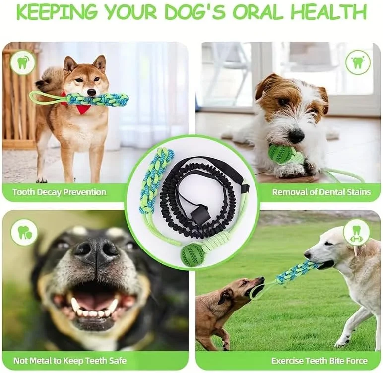 اسباب بازی طناب آویز بانجی سگ برای فضای باز، بازی تعاملی طناب کشی سگ به همراه توپ طناب جویدنی آویز درخت برای سگ های پیتبول، کوچک، متوسط و بزرگ، جویدنی های تهاجمی، طناب میله فنری تمرین کششی بادوام