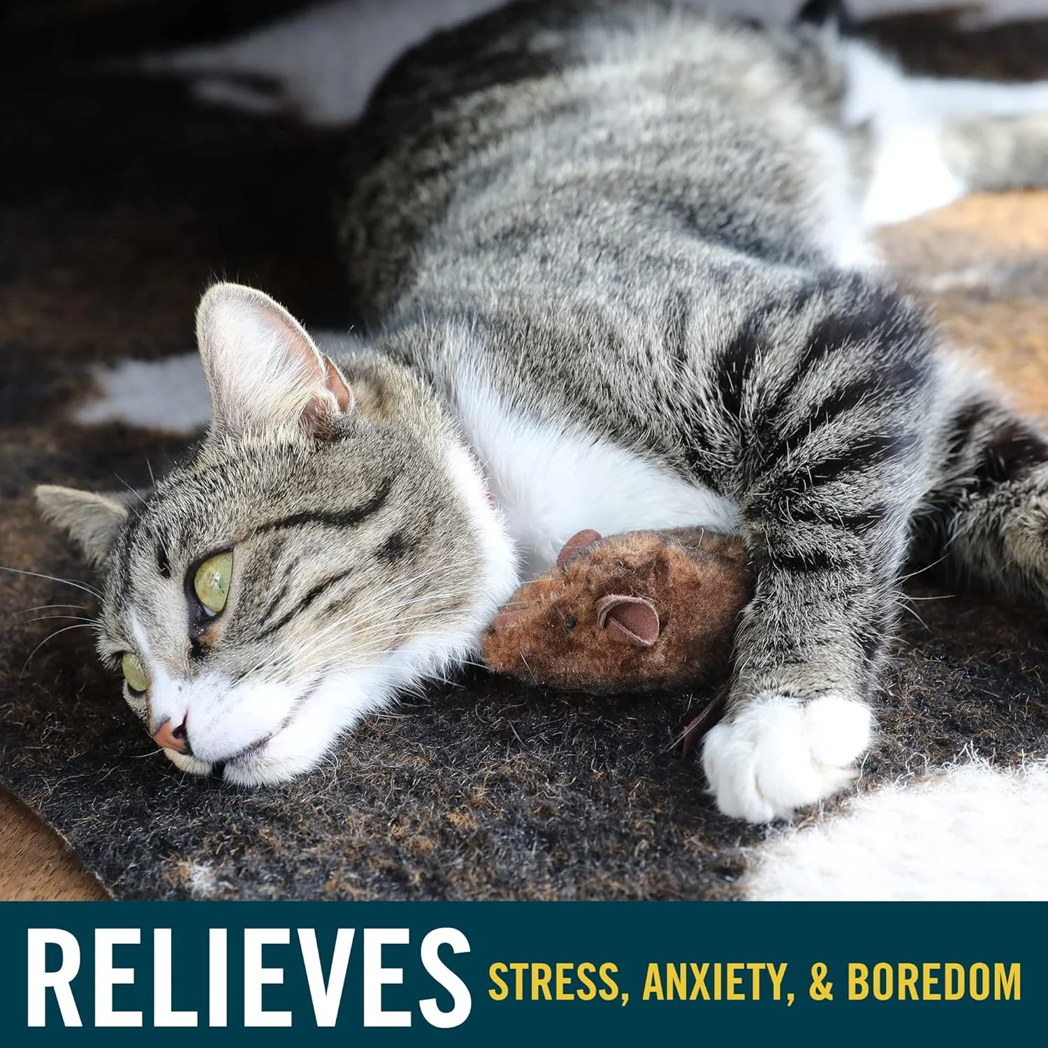 اسباب بازی موش شکارچی گربه Our Pets