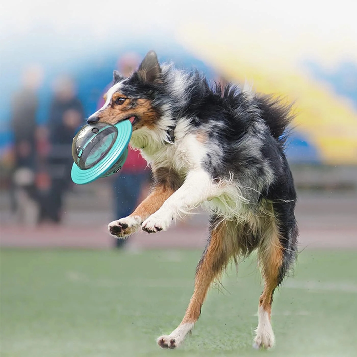 اسباب بازی تعاملی سگ OKBUYNOW، اسباب بازی چند منظوره فریزبی حیوانات خانگی، اسباب بازی فیدر بشقاب پرنده برای سگ های کوچک و متوسط، بازی، تعقیب، جویدن، بهبود هوش، مسواک دندان آسیاب، آبی، petfeeder02-BL