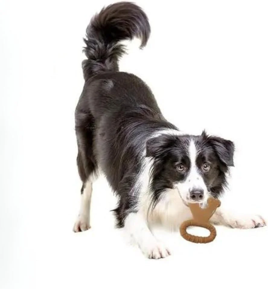 اسباب بازی جویدنی نایلونی Oasisgalore برای جویدن تهاجمی، اسباب بازی سگ با دوام بالا، اسباب بازی برای نژادهای بزرگ، اسباب بازی های جویدنی قدرتمند