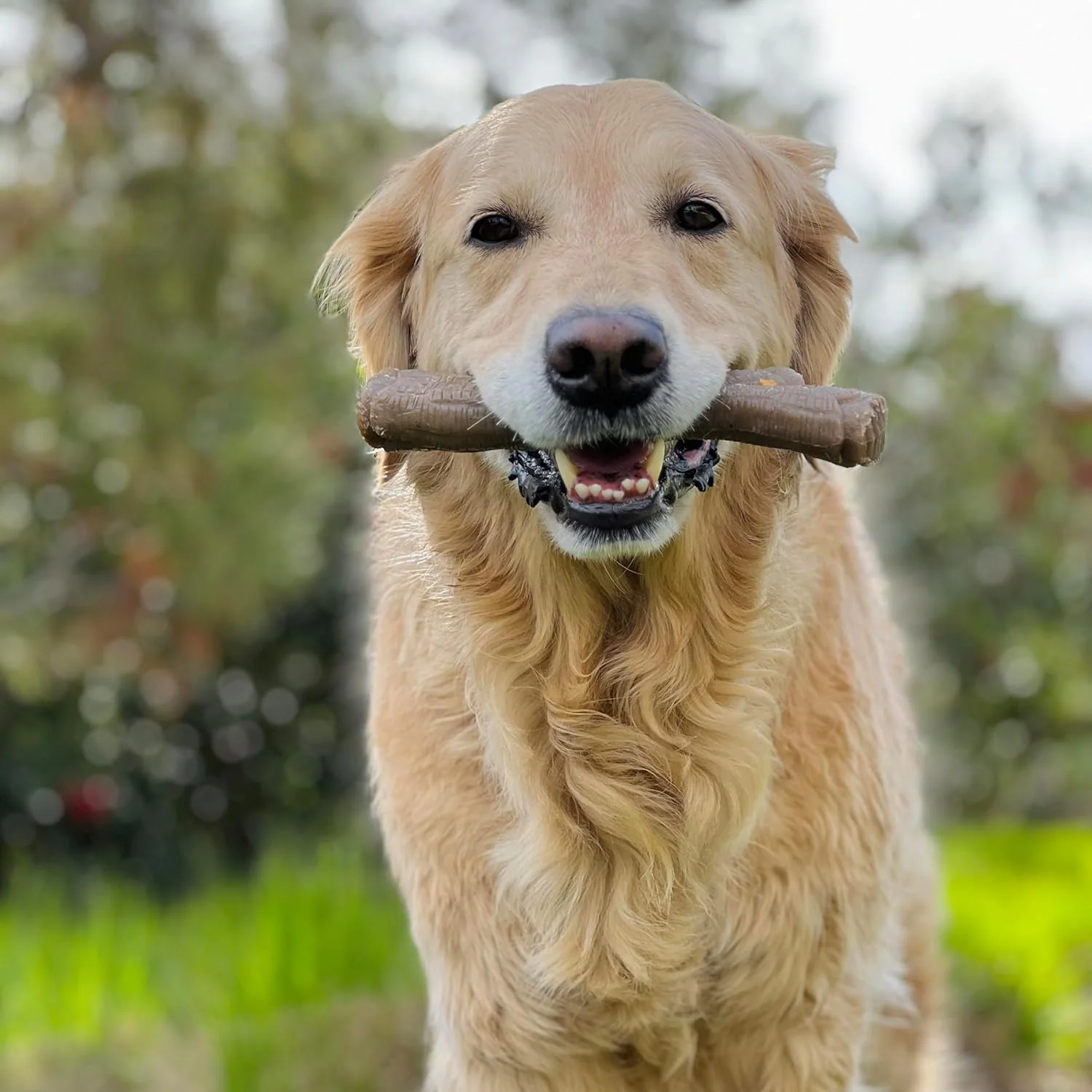اسباب بازی جویدنی چوبی سگ نیلابون مدل Real Wood Stick با طعم بیکن افرا، سایز خیلی بزرگ/سوپر (تکی)، چند رنگ