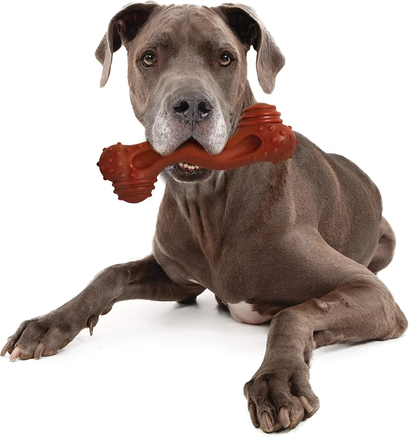 اسباب بازی جویدنی استخوان منحنی بزرگ Nylabone Power Chew Monster با طعم بوفالو سایز XX-Large/Monster (تعداد 1 عدد)