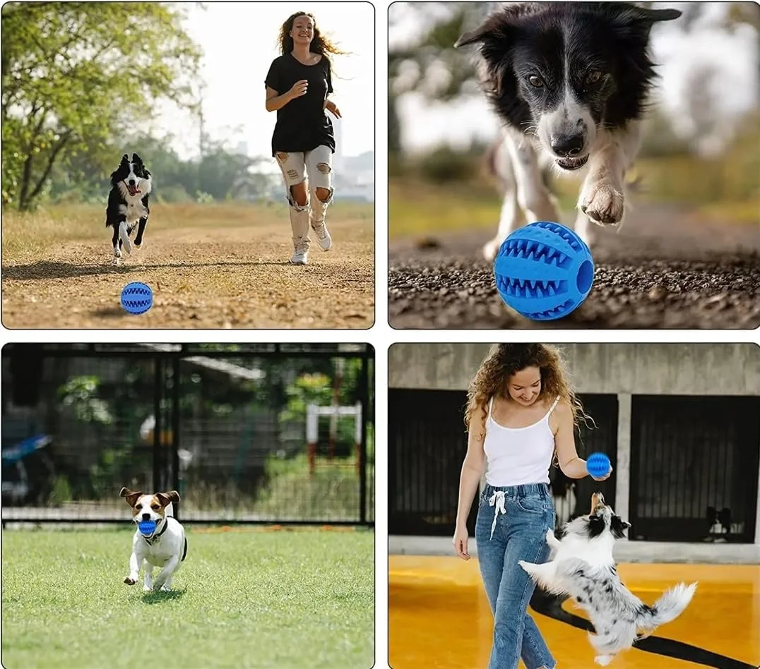 توپ بازی سگ، توپ مقاوم در برابر گاز گرفتن غیر سمی برای سگ های خانگی، توله سگ، تغذیه کننده خوراکی، جویدن دندان، بازی ورزشی تمیز کننده آموزش هوش 7 سانتی متر، توپ جویدنی دندان درآوردن خوراکی های آموزشی تعاملی توله سگ (بسته 1 عددی) توپ بازی سگ، توپ مقاوم در برابر گاز گرفتن غیر سمی برای سگ های خانگی، توله سگ، تغذیه کننده خوراکی، جویدن دندان، بازی ورزشی تمیز کننده آموزش هوش 7 سانتی متر، توپ جویدنی دندان درآوردن خوراکی های آموزشی تعاملی توله سگ (بسته 1 عددی)