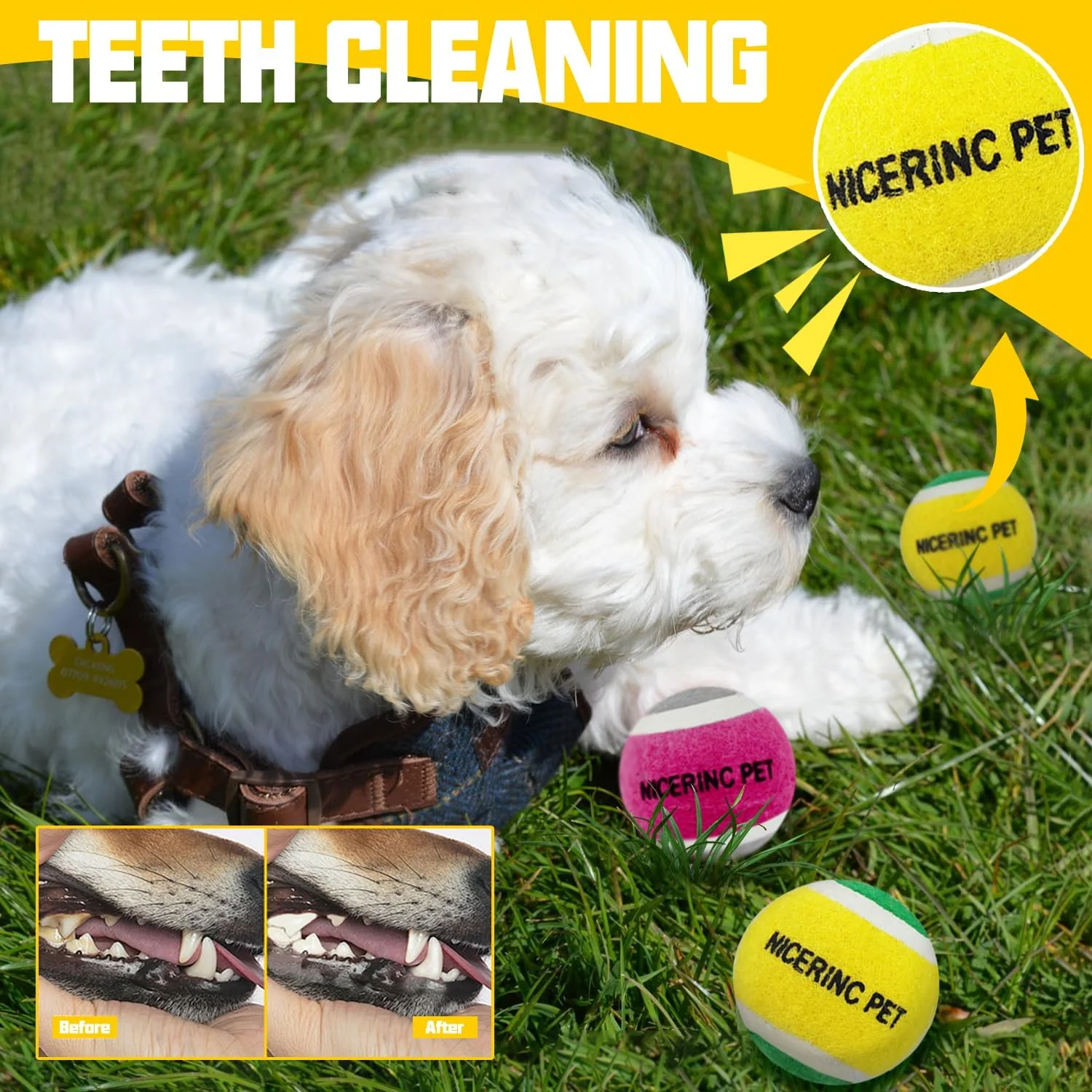 توپ های تنیس سگ NICERINC، اسباب بازی سگ