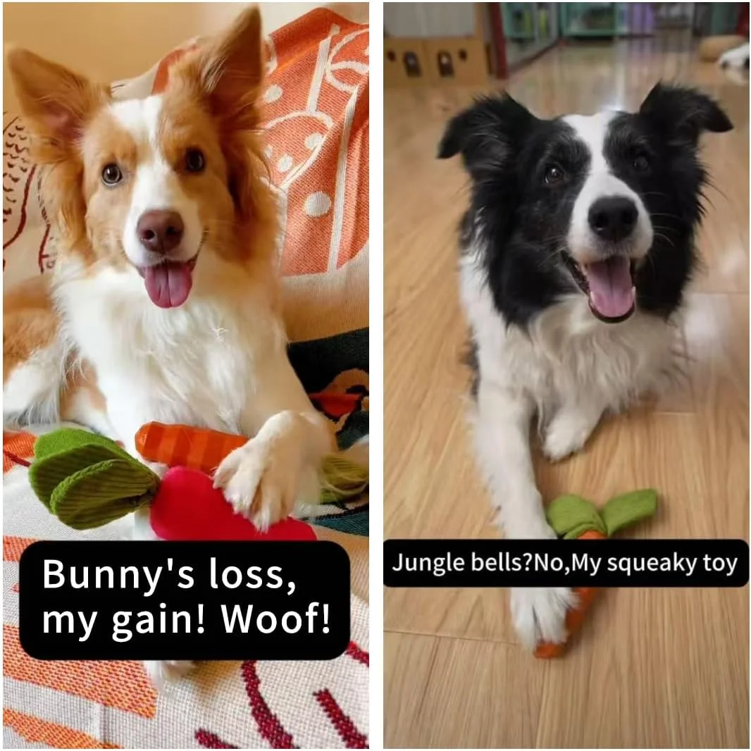 اسباب بازی های جویدنی سگ MewaJump، اسباب بازی هویج لاستیکی برای سگ ها برای آموزش و تمیز کردن، اسباب بازی سگ بادوام و تعاملی برای توله سگ ها و سگ های متوسط