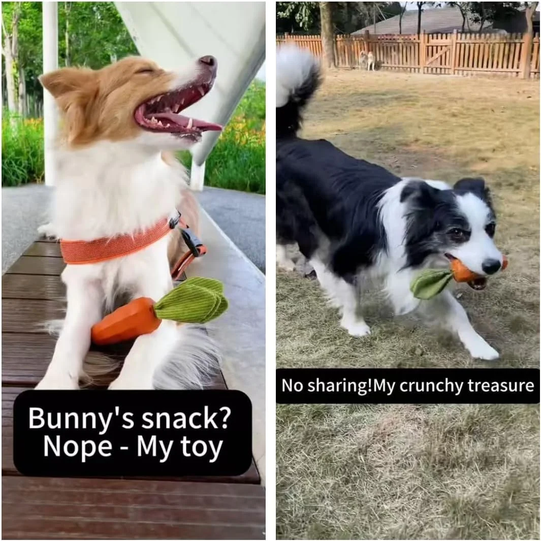 اسباب بازی های جویدنی سگ MewaJump، اسباب بازی هویج لاستیکی برای سگ ها برای آموزش و تمیز کردن، اسباب بازی سگ بادوام و تعاملی برای توله سگ ها و سگ های متوسط