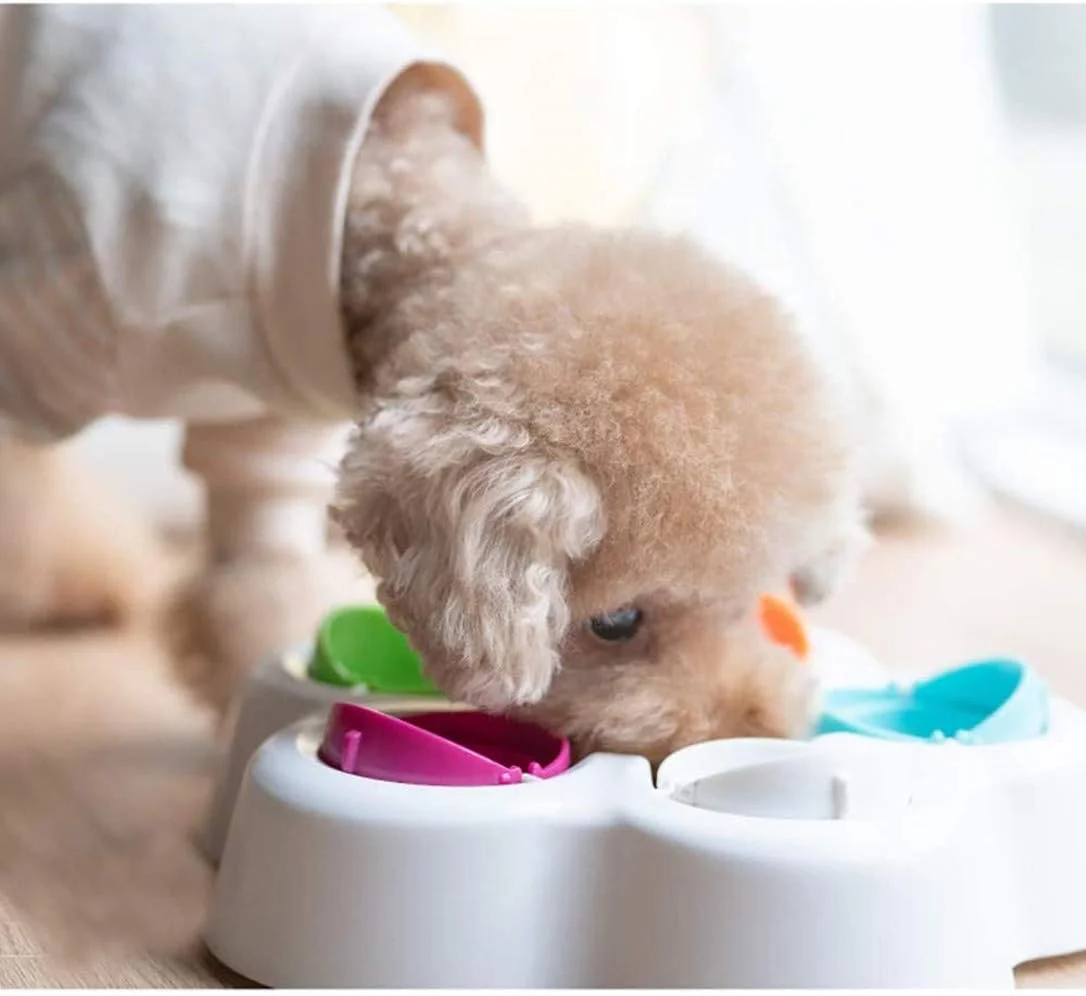 MDINC Pet's IQ Intelligent Toy Interactive Puppy Treat Dispenser, Specially Designed for Training