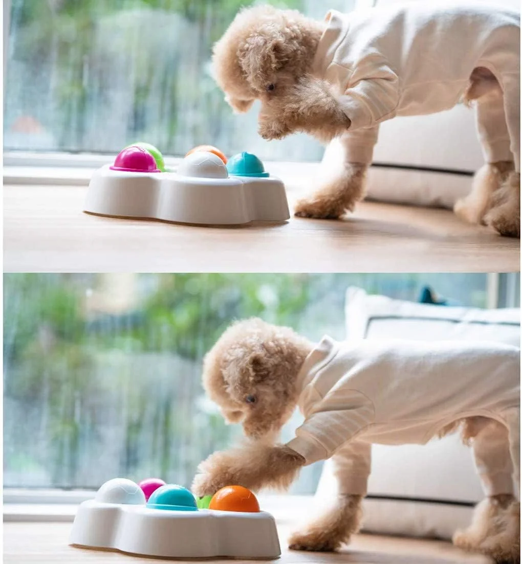 MDINC Pet's IQ Intelligent Toy Interactive Puppy Treat Dispenser, Specially Designed for Training