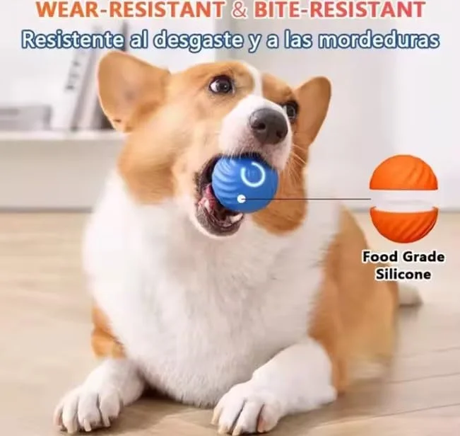 اسباب بازی توپ سگ تعاملی LUXELINE، توپ هوشمند خودکار با 2 حالت عمر باتری طولانی، توپ گربه بازیگوش هوشمند الکتریکی جدید، توپ های اسباب بازی گربه شارژی برای گربه های خانگی، سگ ها، حیوانات خانگی، آبی