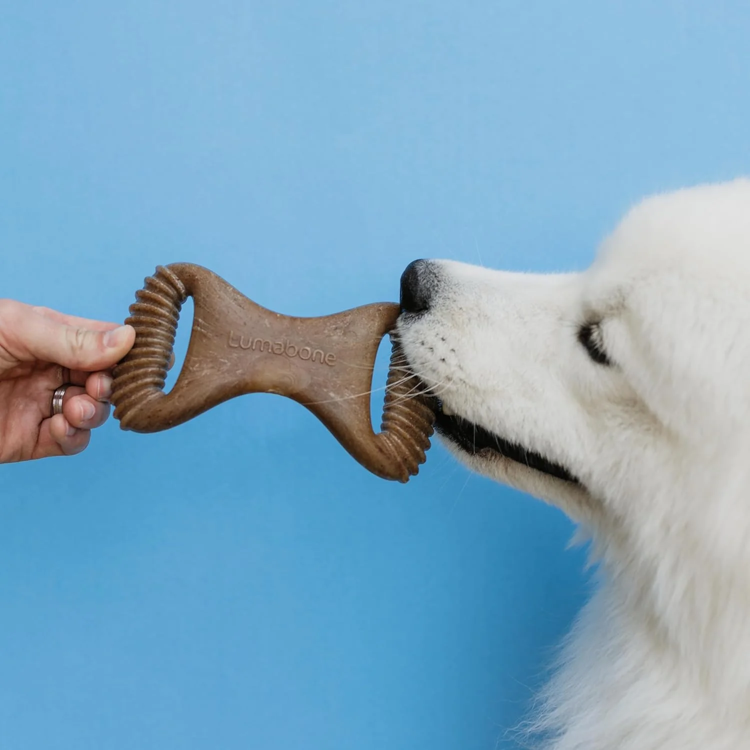 بسته 3 عددی اسباب بازی سگ با طعم بیکن واقعی Lumabone، استخوان آرزو، جویدنی دندانی، حلقه بیکن متوسط