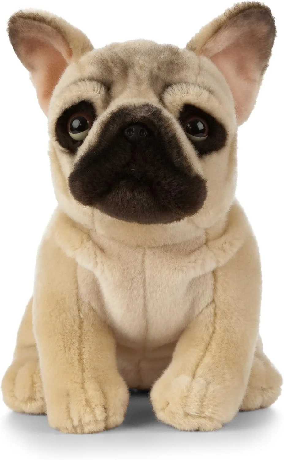 عروسک سگ بولداگ فرانسوی Living Nature AN452، سگ 20 سانتی متری عروسک سگ بولداگ فرانسوی Living Nature AN452، سگ 20 سانتی متری